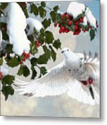 White Dove And Holly Metal Print