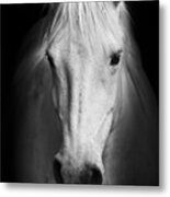 White Horses Black And White Art Metal Print