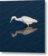 White Into Blue Metal Print