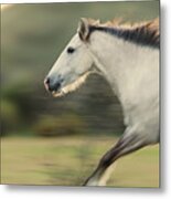 White Lightning Metal Print