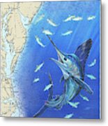 White Marlin Chart Metal Print