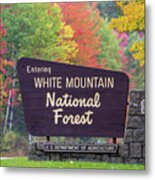 White Mountain National Forest Metal Print