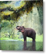 Wild Elephant In The Beautiful Forest Metal Print