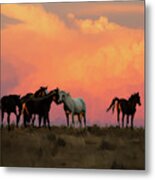 Wild Horse Sunset In Ute Country Metal Print