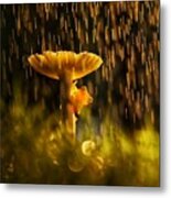 Wild Mushroom And Golden Frog Metal Print