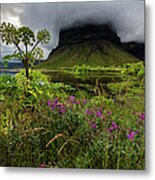 Wildflowers Growing In Remote Field Metal Print