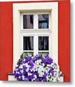 Window Metal Print