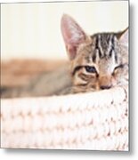 Wink Metal Print