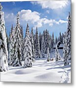 Winter Landscape Metal Print