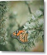 Winter Monarch Metal Print