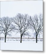 Winter Storm, South Dakota Metal Print