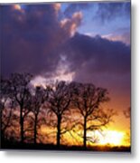 Winter Tree And Sky Metal Print