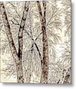 Winter Trees Metal Print