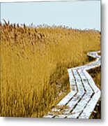 Winter Zzz Metal Print