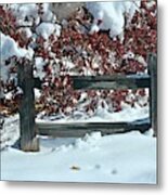 Wintery Fall Metal Print