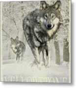 Wolf Snow Metal Print
