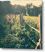 Wooden Fence Metal Print
