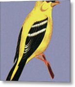 Yellow And Black Bird Metal Print