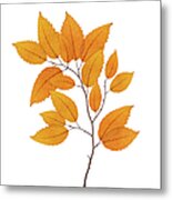 Yellow Autumn Branch Metal Print