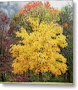 Yellow Autumn Metal Print