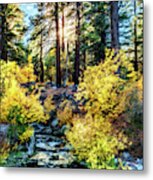 Yellow Bushes Metal Print