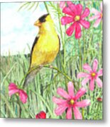 Yellow Finch Cosmos Metal Print