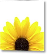 Yellow Flower On White Background Metal Print
