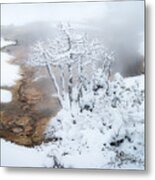 Yellowstone Winter Wonderland Metal Print