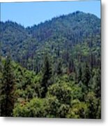 Yosemite Green Forest View Metal Print