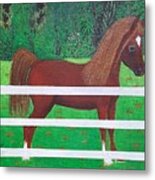 Young Arabian Horse Metal Print