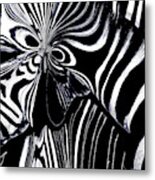Zebra Art Metal Print