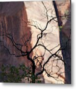 Zion Tree Metal Print