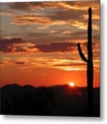 Arizona Metal Print