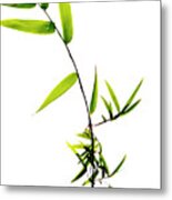 Bamboo Leaves #1 Metal Print