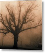 Bare Tree On A Foggy Morning #1 Metal Print