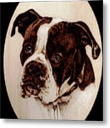 Boxer Dog #1 Metal Print