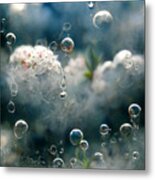 Cloudy Frost #1 Metal Print