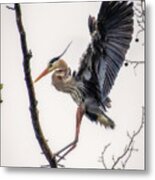 Coming In For A Landing #2 Metal Print