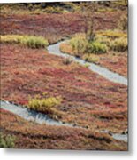 Fall Colors Of The Tundra #1 Metal Print