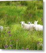 Hiding In The Grass #1 Metal Print