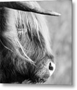 Highland Cow Face Side View Black And White #2 Metal Print
