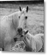 Hugging Momma #1 Metal Print