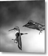 Hummingbirds #2 Metal Print