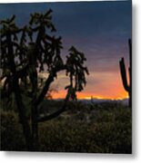 Just Another Saguaro Sunset  #1 Metal Print