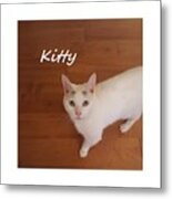 Kitty  #1 Metal Print