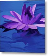 Lavender Blue Water Lily #1 Metal Print