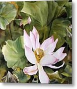 Lotus Blossom Metal Print