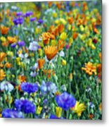 Mixed Colourful Wildflowers #1 Metal Print