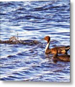 Only The Splash Remains #1 Metal Print
