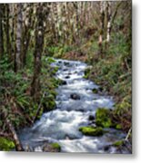 Oregon Mountain Stream And Alder Trees #1 Metal Print